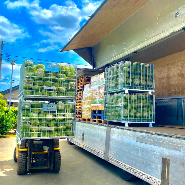 ヤマキチの迅速配送